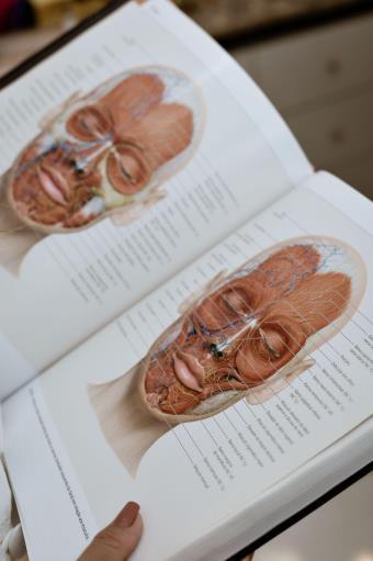 Un livre sur l'anatomie