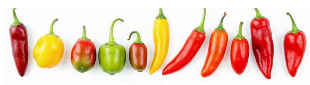 Piments frais